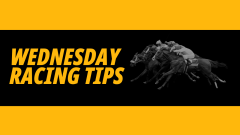 Wednesday tips